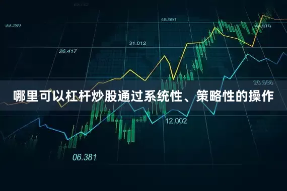 哪里可以杠杆炒股通过系统性、策略性的操作