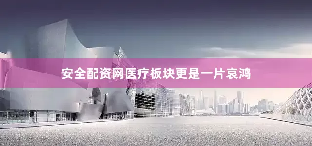 安全配资网医疗板块更是一片哀鸿