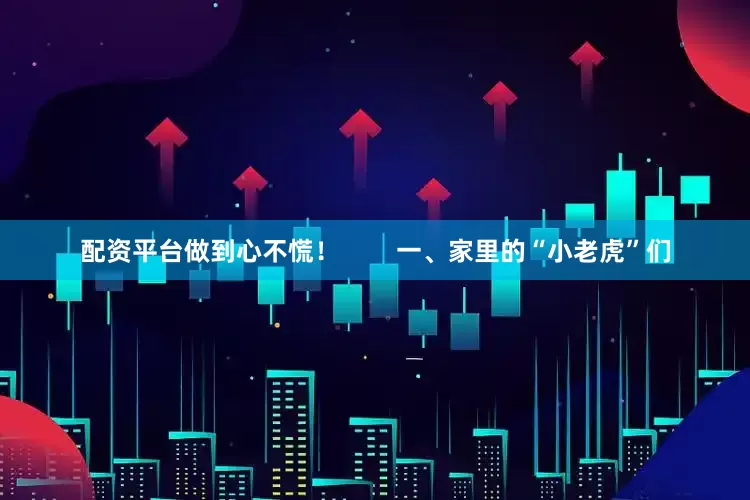 配资平台做到心不慌！        一、家里的“小老虎”们