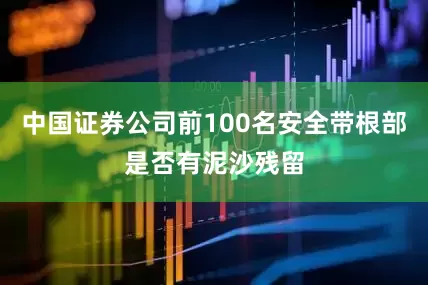 中国证券公司前100名安全带根部是否有泥沙残留